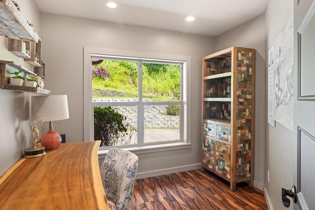 office with dark hardwood / wood-style floors