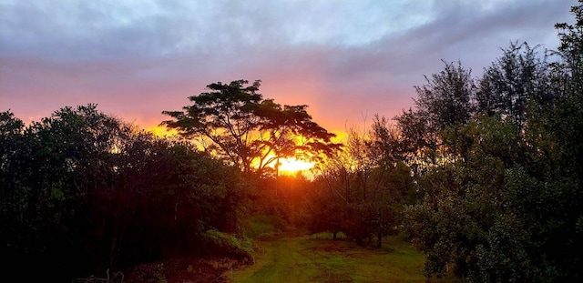 view of nature at dusk