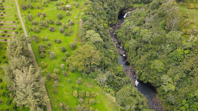 drone / aerial view featuring a rural view and a water view