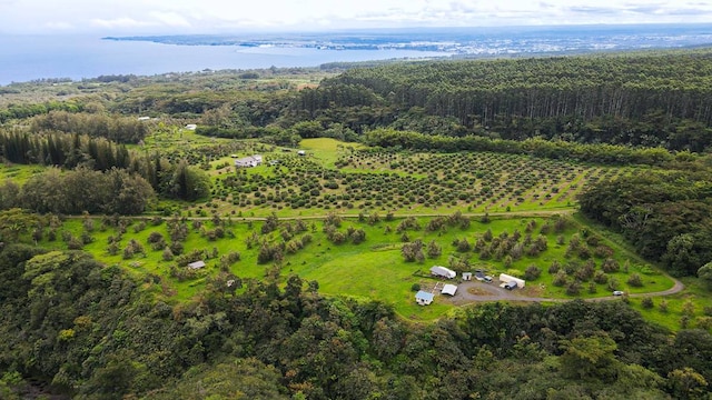 aerial view with a water view and a rural view