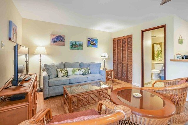 living room featuring light hardwood / wood-style flooring