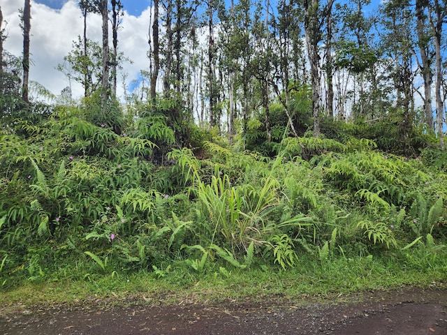 Holiday Rd, Pahoa HI, 96778 land for sale