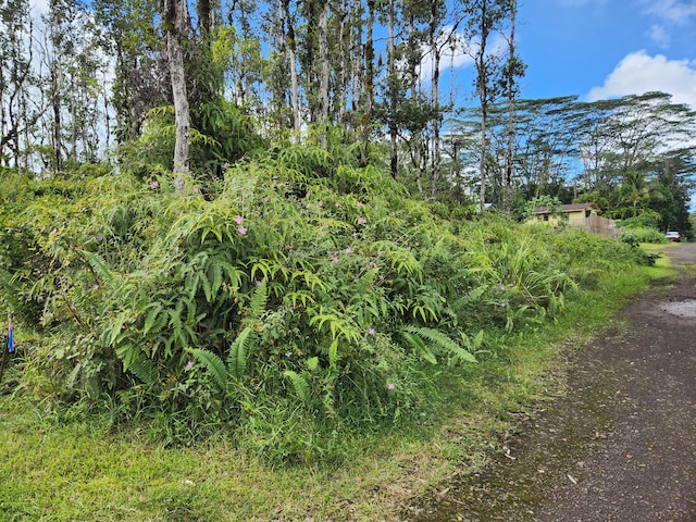 Listing photo 2 for Holiday Rd, Pahoa HI 96778