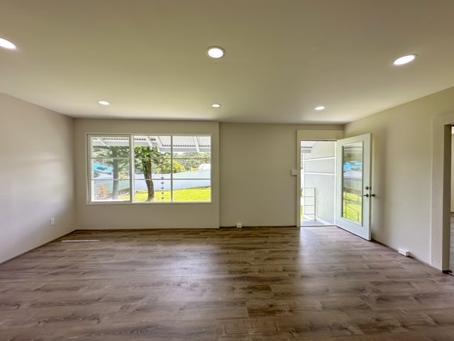 spare room with wood-type flooring