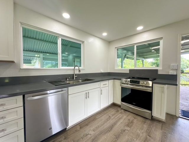 kitchen with white cabinetry, hardwood / wood-style floors, stainless steel appliances, and sink