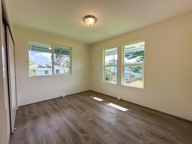 spare room featuring dark hardwood / wood-style floors and a wealth of natural light