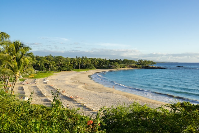 water view featuring a beach view