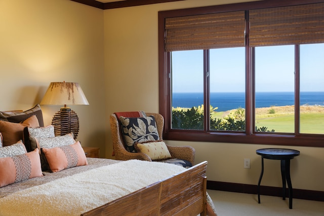 bedroom with carpet flooring, a water view, and multiple windows