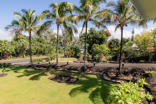 view of property's community featuring a lawn