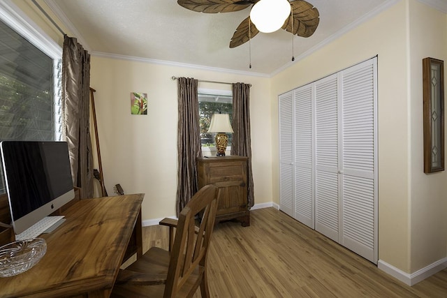 office space with light hardwood / wood-style flooring, ceiling fan, and ornamental molding