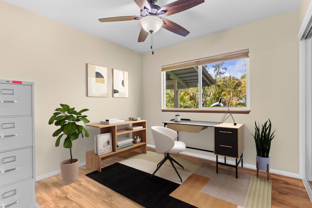 office space featuring light hardwood / wood-style floors and ceiling fan