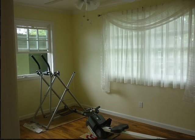 exercise room with ceiling fan and wood-type flooring