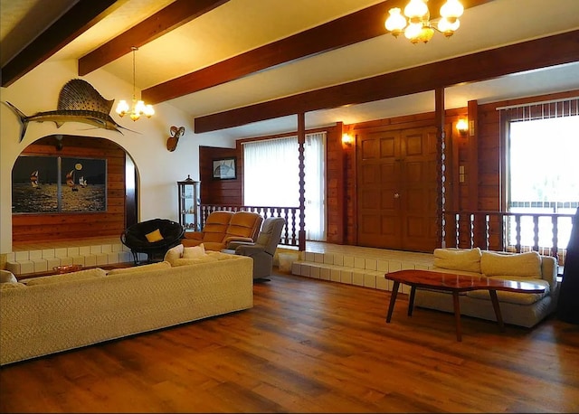 living room featuring lofted ceiling with beams, dark hardwood / wood-style floors, an inviting chandelier, and plenty of natural light