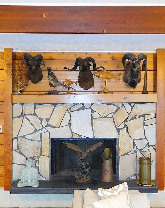 details featuring wood walls and a stone fireplace