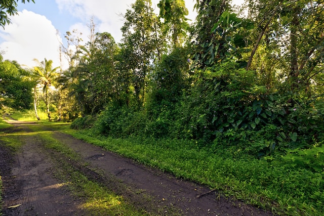 Listing photo 2 for 14-3504 Kauai Rd, Pahoa HI 96778