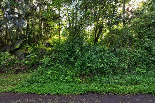 Listing photo 3 for 14-3504 Kauai Rd, Pahoa HI 96778