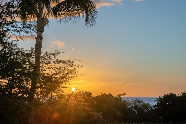 nature at dusk featuring a water view