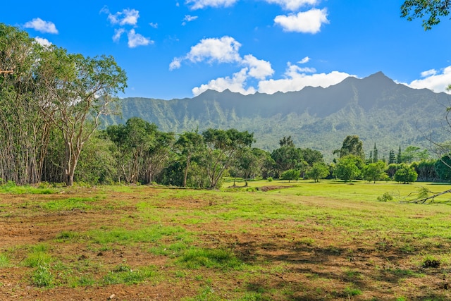 Halaulani Rd Unit 5, Kilauea HI, 96754 land for sale