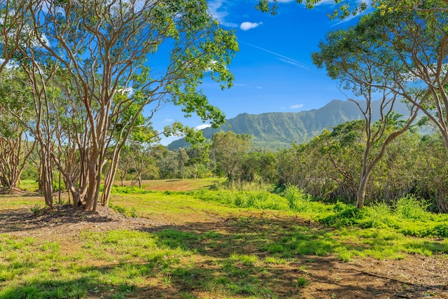 Listing photo 3 for Halaulani Rd Unit 5, Kilauea HI 96754