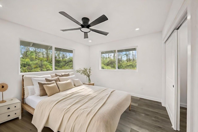 bedroom with dark hardwood / wood-style flooring, ceiling fan, and a closet