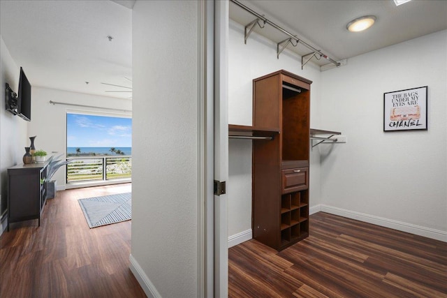 spacious closet featuring dark hardwood / wood-style floors