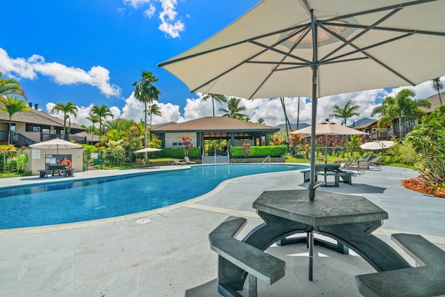 view of pool with a patio area