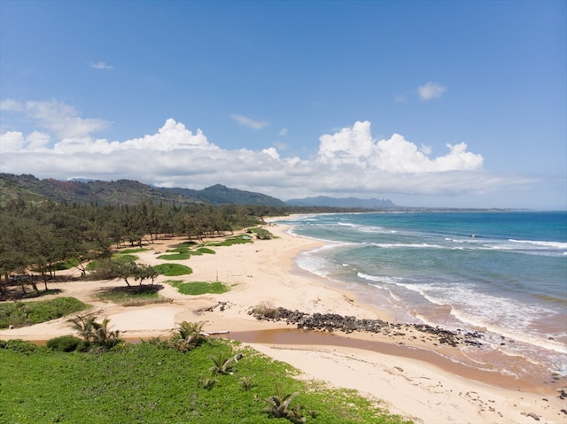 view of water feature with a beach view