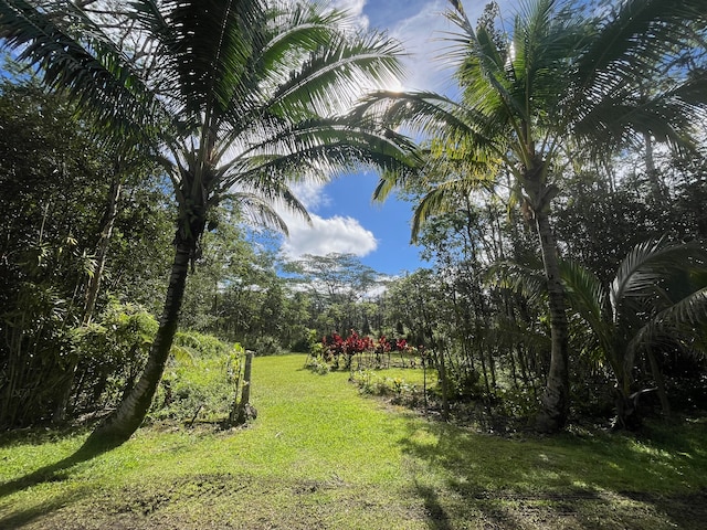 Hilo Rd, Pahoa HI, 96778 land for sale