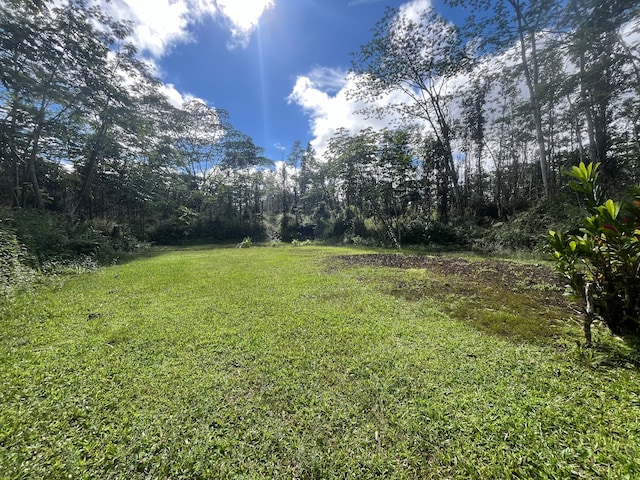 Listing photo 3 for Hilo Rd, Pahoa HI 96778