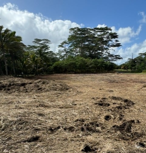 Makuu Dr, Keaau HI, 96749 land for sale