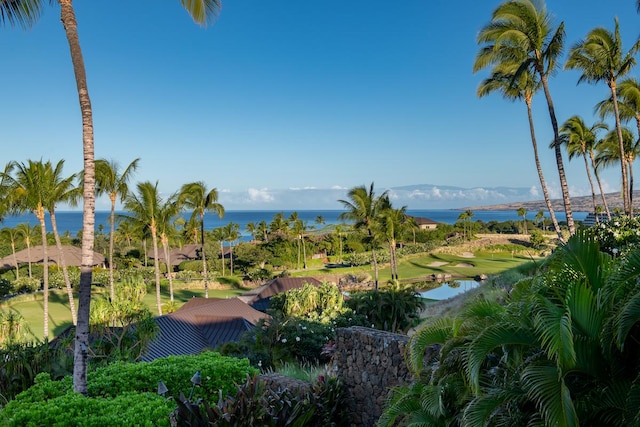 view of home's community with a water view