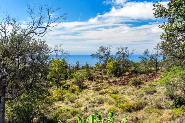 view of landscape featuring a water view