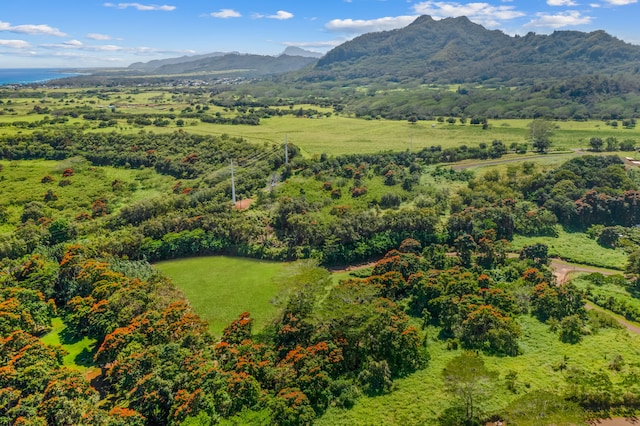 Iana Pl Unit 19B, Kapaa HI, 96746 land for sale