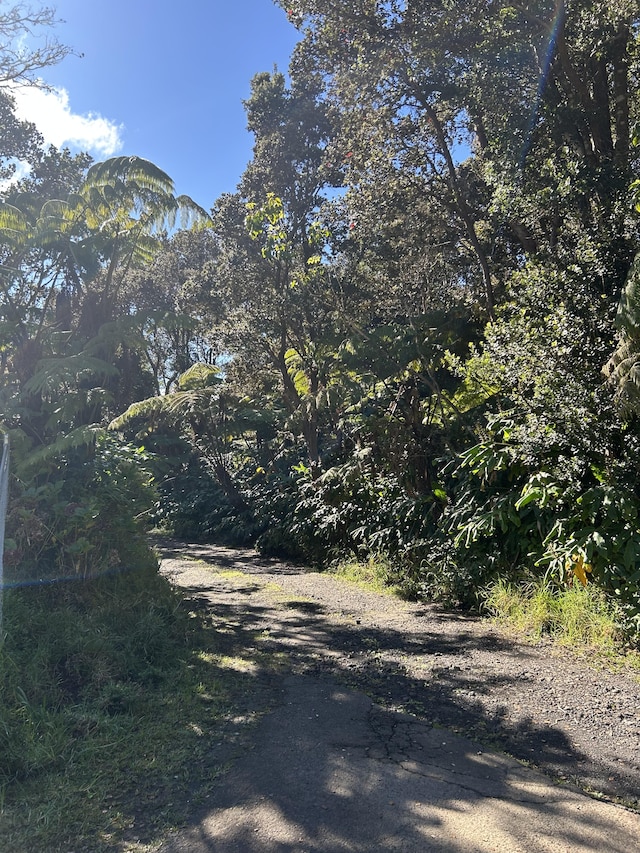 Listing photo 2 for Ainahau Rd, Volcano HI 96785