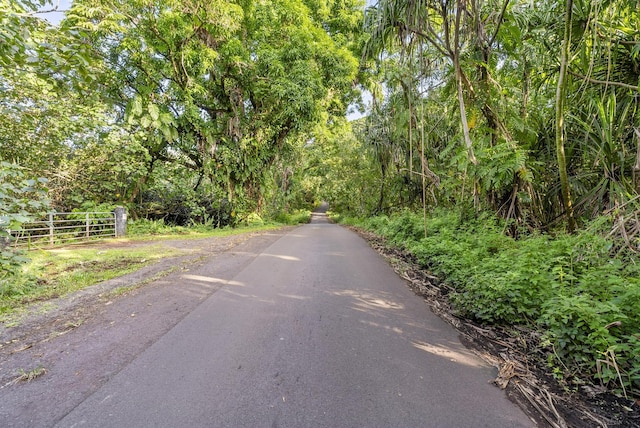 Government Beach Rd, Pahoa HI, 96778 land for sale