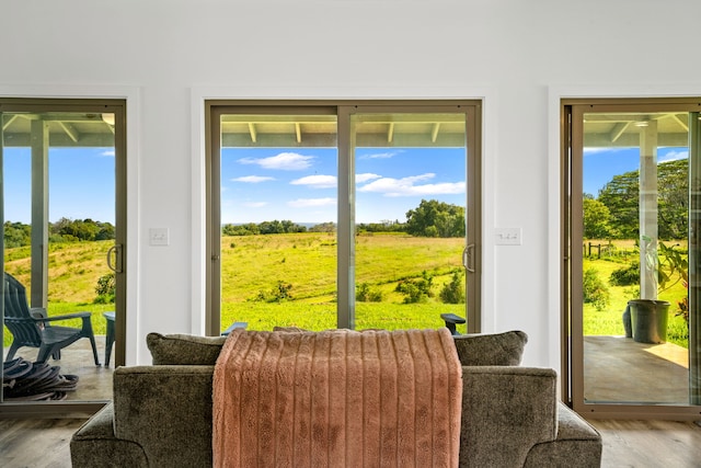 doorway featuring a rural view and light wood-type flooring