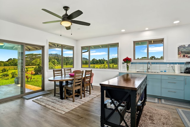 dining space featuring plenty of natural light and dark wood-type flooring