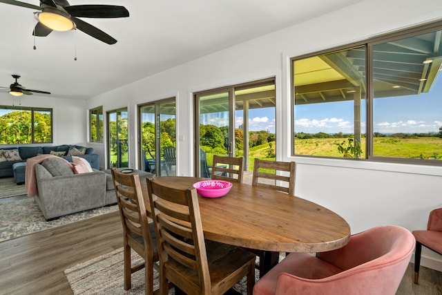 sunroom featuring ceiling fan