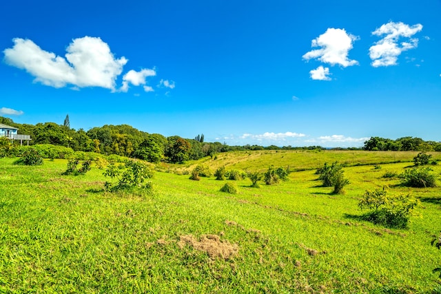 view of nature featuring a rural view