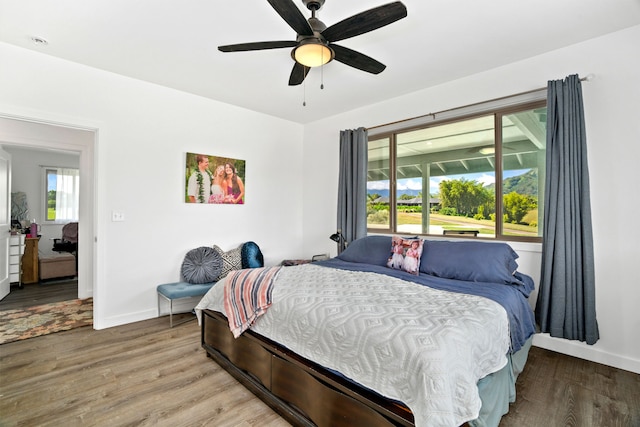 bedroom with multiple windows, ceiling fan, and hardwood / wood-style floors