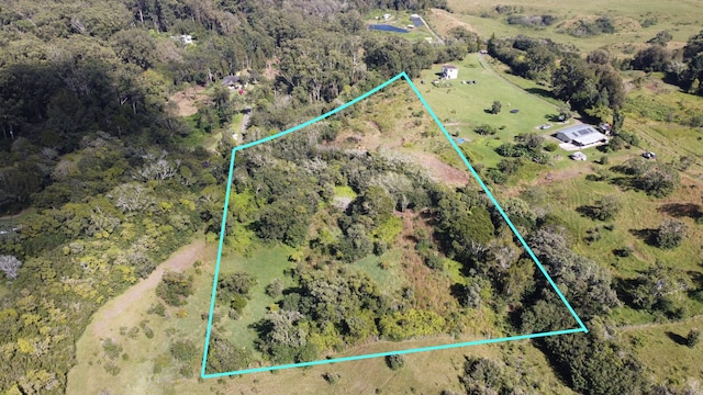 46-3901 Kahana Dr, Honokaa HI, 96727 land for sale