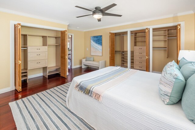 bedroom with dark hardwood / wood-style flooring, two closets, ceiling fan, and ornamental molding