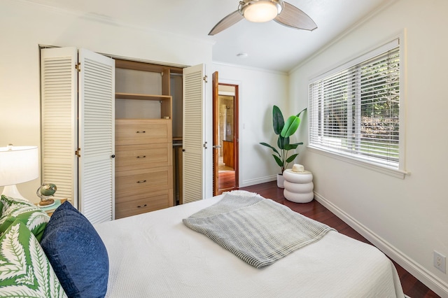 bedroom featuring ornamental molding, ceiling fan, and dark wood-type flooring