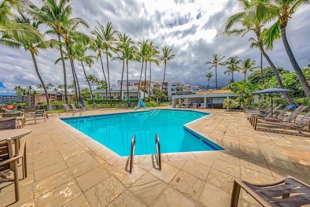 view of pool featuring a patio