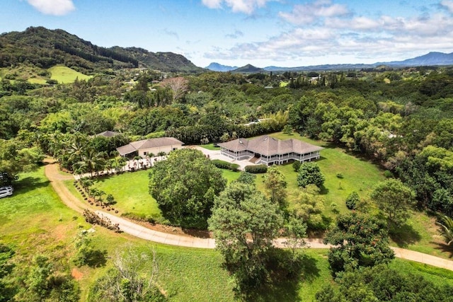 bird's eye view featuring a mountain view