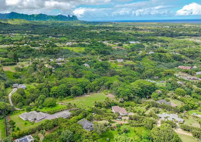 bird's eye view with a mountain view