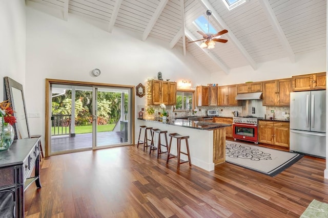 kitchen featuring a skylight, kitchen peninsula, high vaulted ceiling, and stainless steel appliances