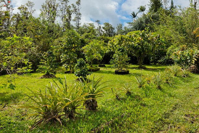 view of nature