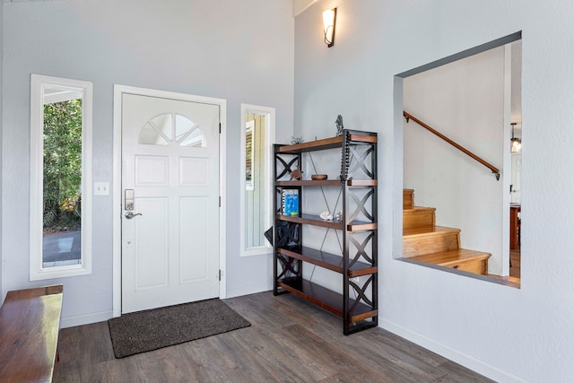 foyer entrance featuring dark wood-type flooring