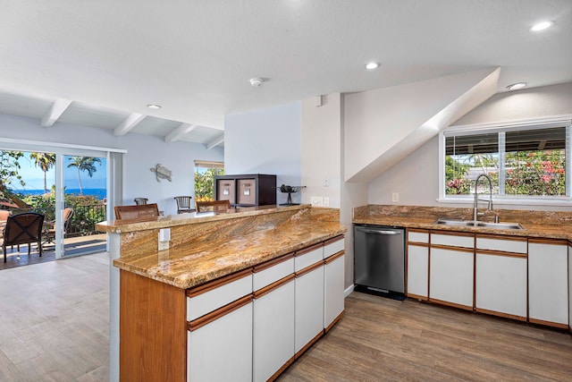 kitchen featuring kitchen peninsula, stainless steel dishwasher, plenty of natural light, and sink